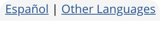 Change language option.